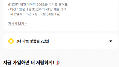 핀다이렉트KT 20기가(2월~6개월간 50기가제공) + 바로유심 2만원 상품권 110원 총 70기가
