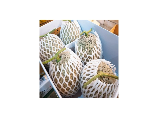 두레머스크메론 추천: 신상템 vs 스테디셀러 비교 분석