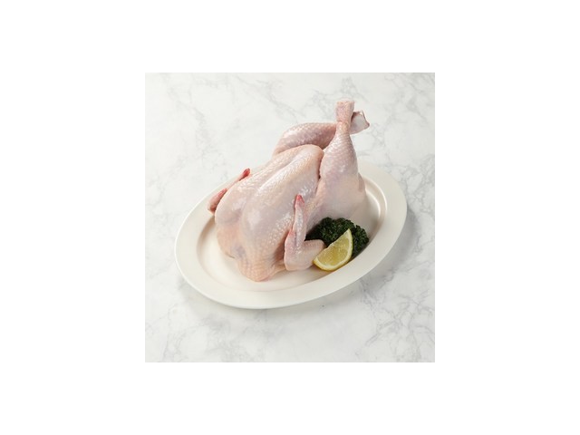 통닭12호 가격정보 Best 상품순위 알아보기