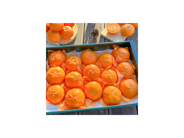 귤메달레드향 추천: 가격과 성능 모두 만족하는 제품