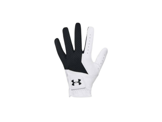 언더아머골프장갑 올해 화제의 아이템