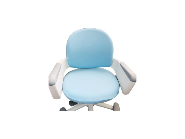 시디즈링고쿠션 추천: 유행 안 타는 스테디셀러 아이템